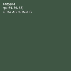 #405644 - Gray Asparagus Color Image